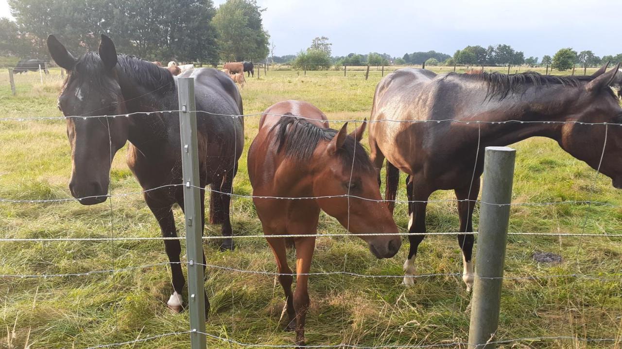 Ferienwohnung Mensteder Utkiek Großheide Exterior foto